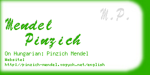 mendel pinzich business card
